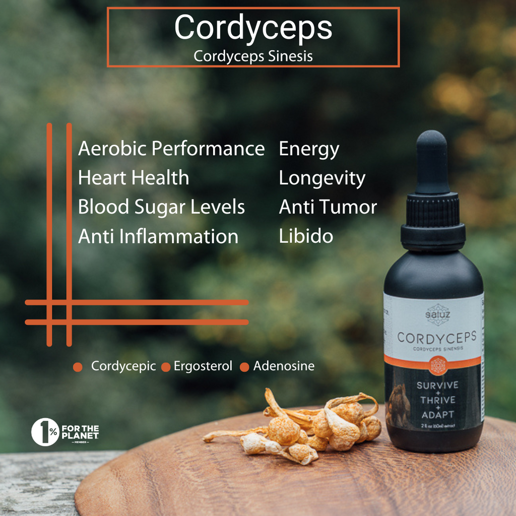 Energy + Performance + Longevity + Weight Loss Pairing